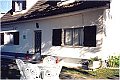 Olival capucho Ourem Fatima